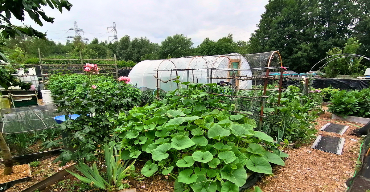 Allotment with different netting protection